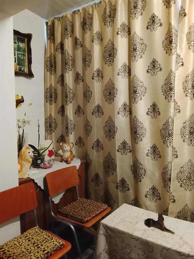 Apartament 1 camera Biziasului - Poză 8