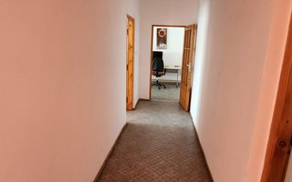 Spatiu industrial productie/ depozitare, Timiș - Poză 31