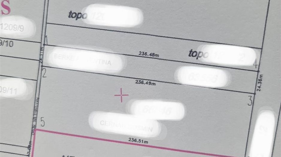 Teren extravilan Nojorid 11000mp - Poză 3