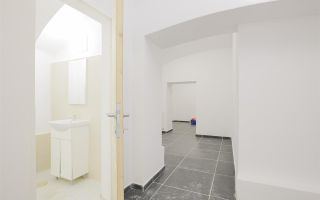 Sub mantia arhitecturala istorica a Cetatii Timisoarei, Spatiu comercial - Poză 17