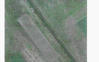 BUFTEA - Sos. Tamasi, Tarla 38, Parcela 351, teren 5.328 mp. - Poză 3