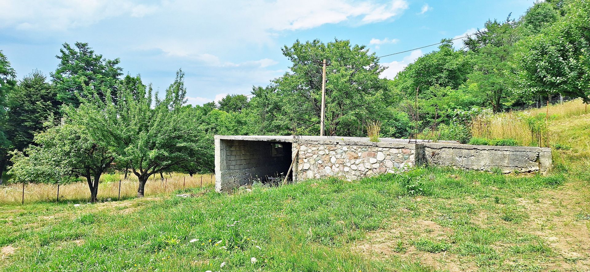 Bran- Predelut, 1000mp teren pentru casa de vacanta, pret 45 euro/mp - Poză 6