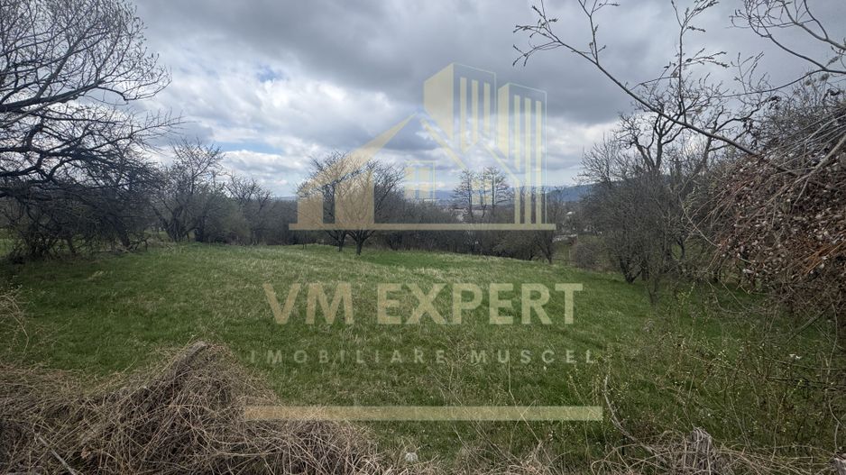 TEREN INTRAVILAN 2153 MP IN VALEA MARE PRAVAT - Poză 6