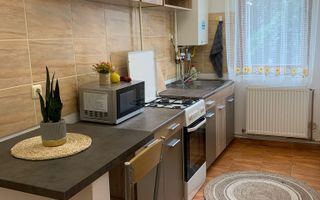 Apartament 1 camera modern , Victoriei - zona VIVO - Poză 4