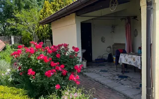 Casă elegantă, spațioasă, ideală pentru familie – Sanmihaiu Roman - Poză 28