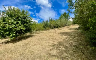 Casă + 1 apartament separat pe teren de 1.949 mp  cu panoramă Chinteni - Poză 29