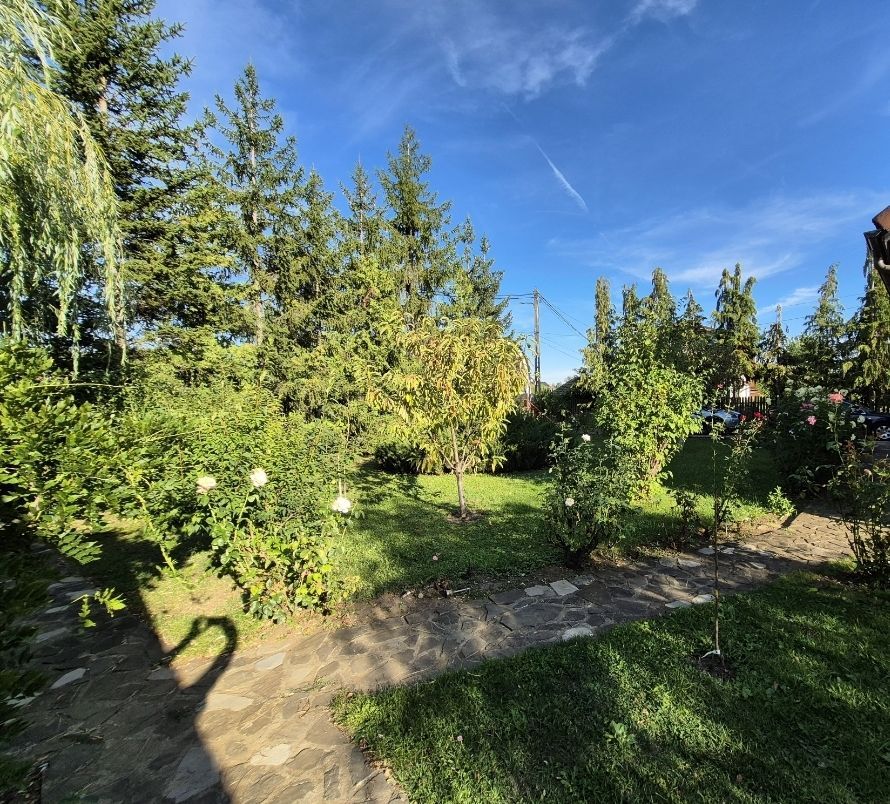 Cabana de lemn cu fundatie 86 mp+ livada pomi fructiferi+teren 847 mp - Poză 11