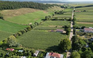 Teren intravilan de vânzare, Sat Bogdănști, Com. Traian - Poză 9