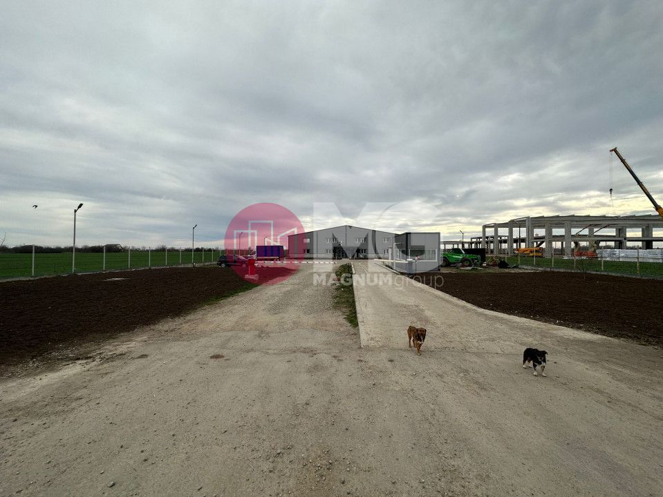 Fabrica de reciclare mase plastice - Poză 4