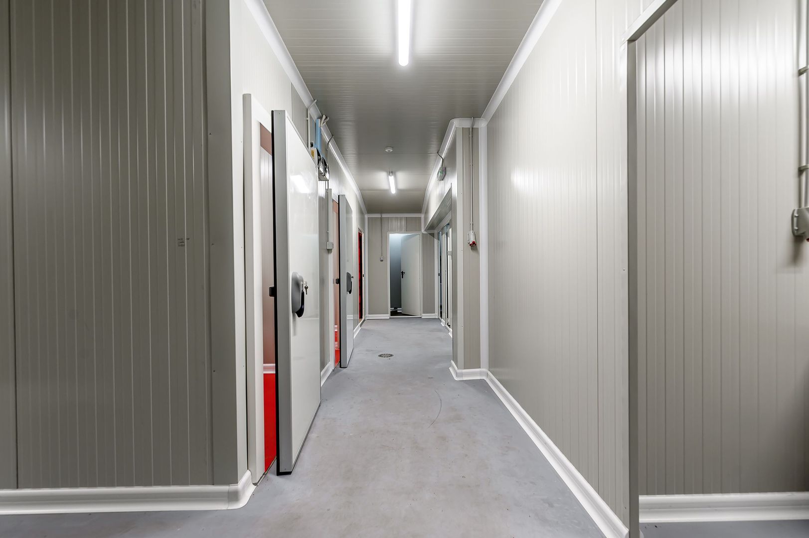 Unitate de abatorizare și procesare carne DN7  -  Nădlac - Poză 3