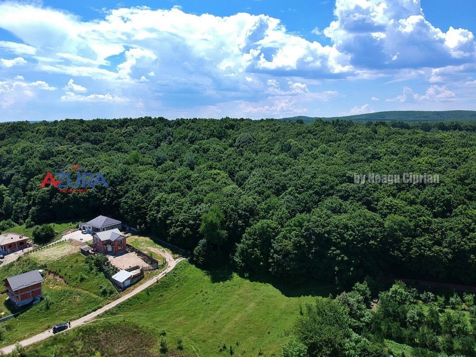 Vanzare teren 904 mp, Bascov, langa padure - Poză 7