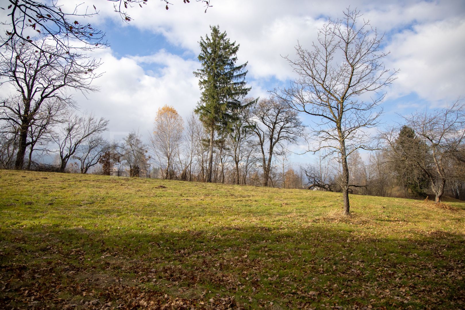 Teren intravilan, cu PUZ, Bran Tohanita,  SE ACCEPTĂ ȘI SCHIMB - Poză 19