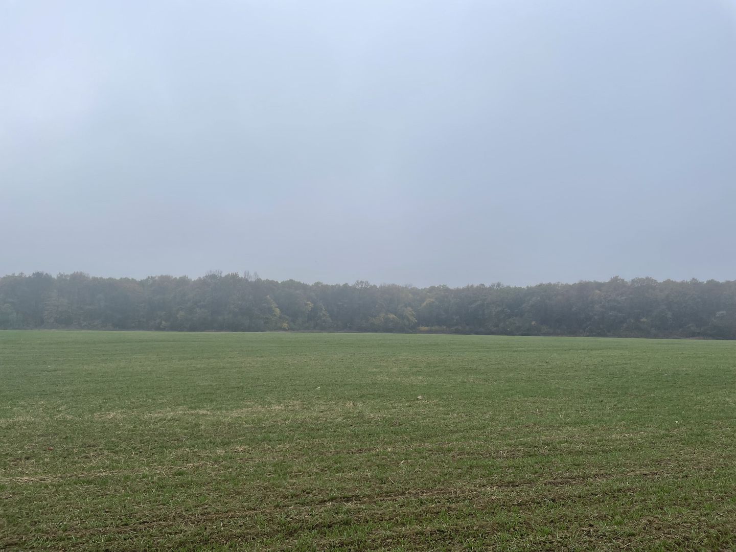 9400 mp | Ideal pentru investitie | Tunari | Deschidere la padure - Poză 8