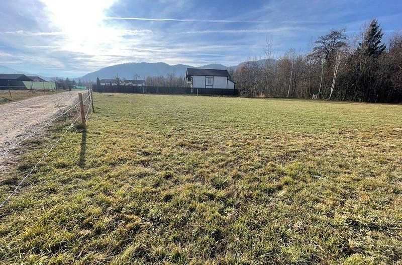 Teren 3349 mp de Vânzare | Bran – Panoramă Munții Bucegi - Poză 2