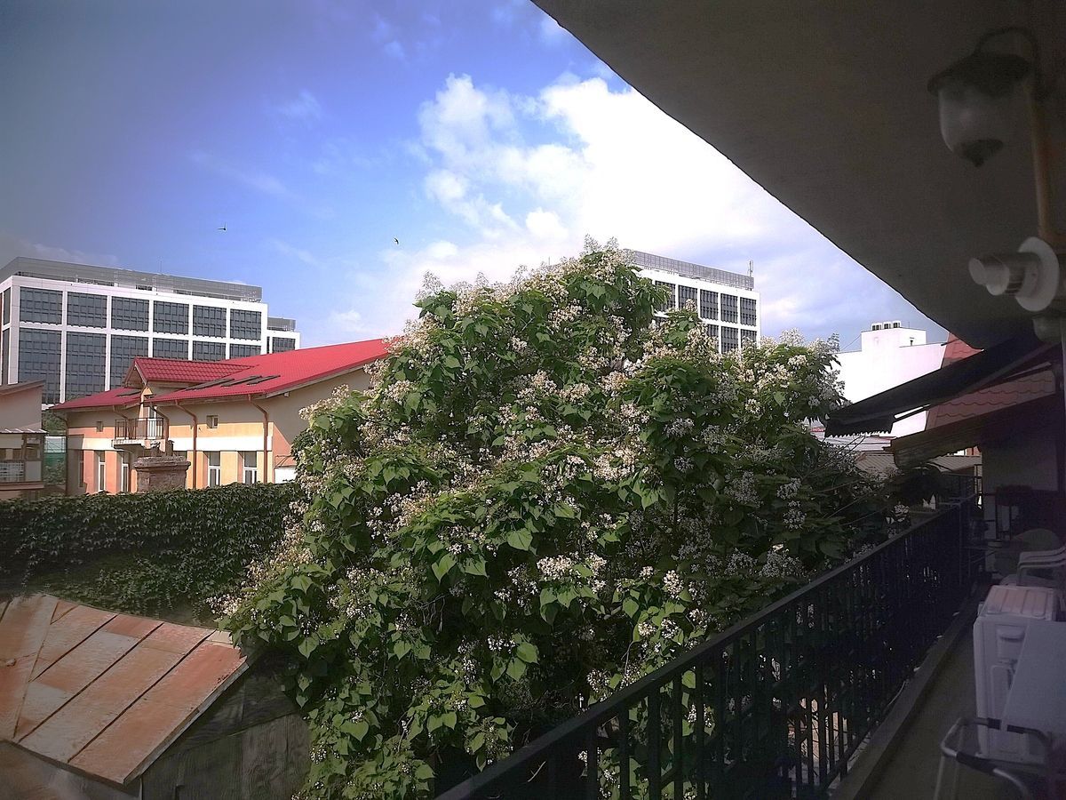 Apartament Plevnei / Orhideea - Poză 13