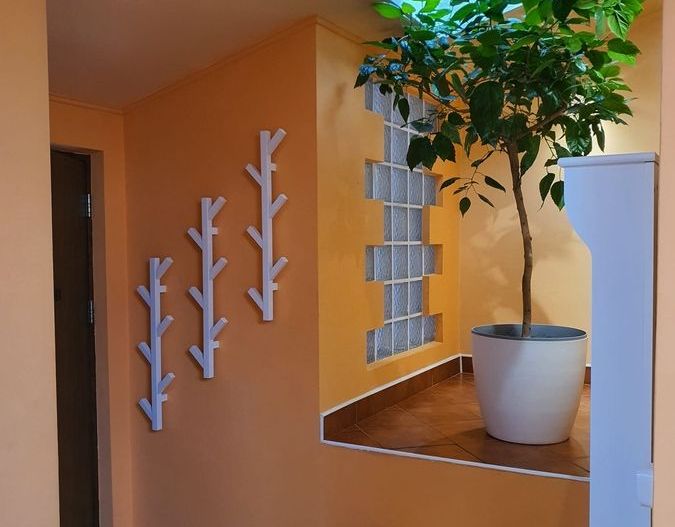 BRASADAS închiriază ap 2 cam la MANSARDA zona Dorobanti. - Poză 17