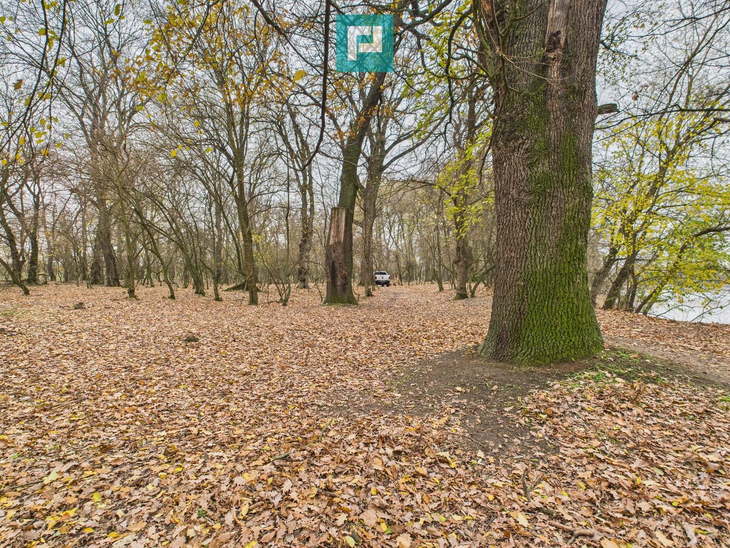 Teren spectaculos la  Periam Port - Poză 6
