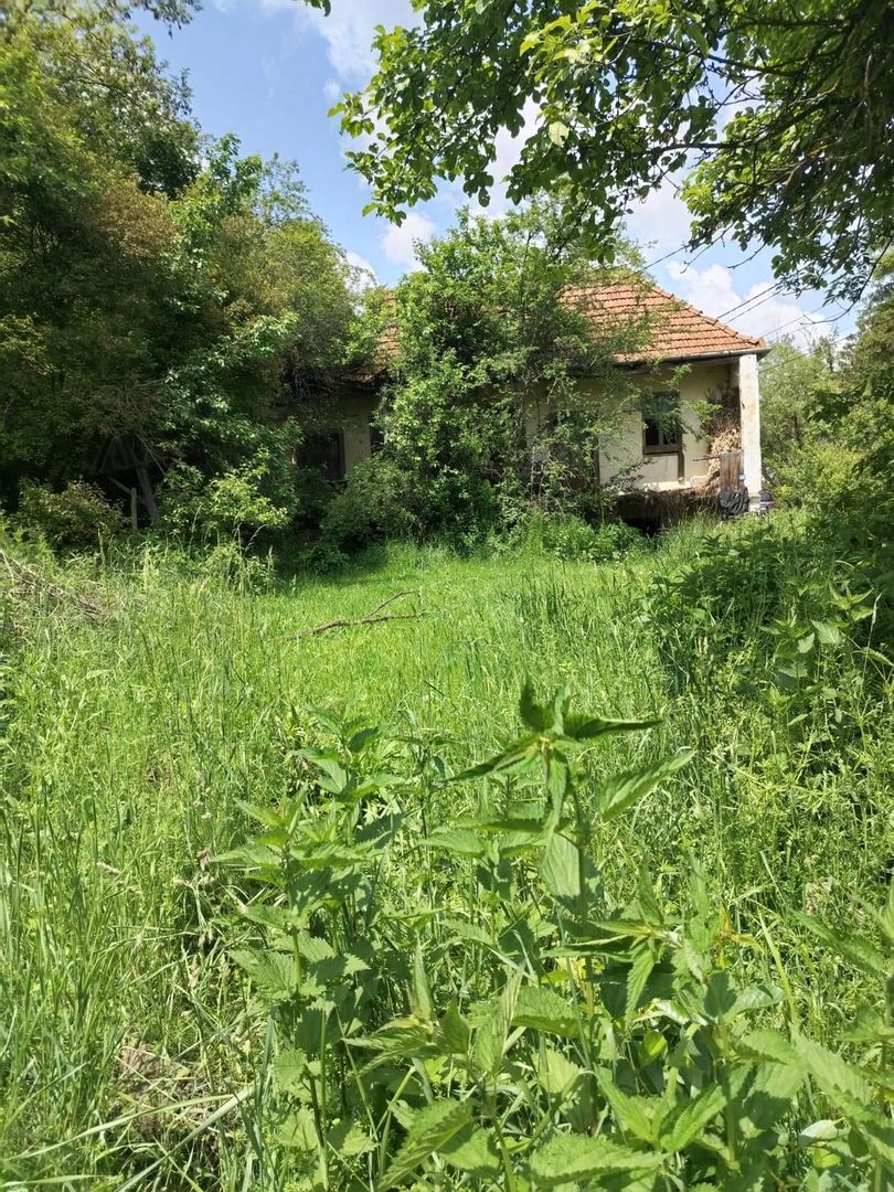 Casa demolabila si teren - Poză 4