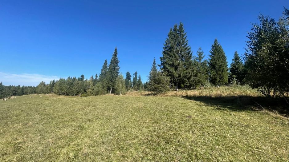 Teren Intravilan | Dealul Negru | Investiție | 1500 mp - Poză 4