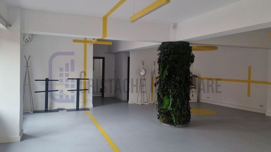 Vila P+2, suprafata 380 mp, Principatele Unite, Piata Unirii - Poză 8