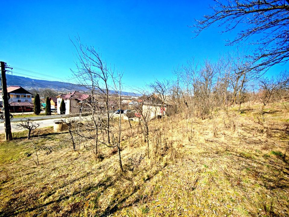 Casă cu teren generos în Dârmănești, Argeș-ideală pentru locuința sau afacere  - Poză 16