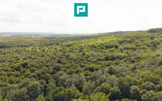 TEREN AGRICOL EXTRAVILAN  22.900 MP LIPOVA - Poză 4