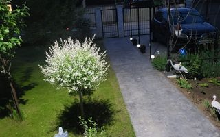 Vila individuala, 4 camere, curte 290 mp, mobilata si utilata, Ilfov - Poză 29