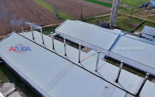 COMISION 0% - HALE Calinesti Arges - Poză 13