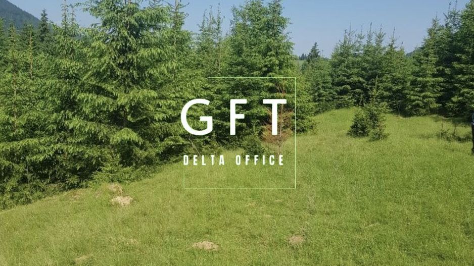 TEREN+PADURE, PASUL TIHUTA - Poză 6