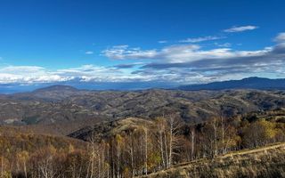 Teren extravilan 2ha, priveliste panoramica spre munti /Poiana Marului - Poză 10