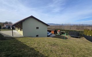 Casa Individuala Zona Ciugud, 2000mp Teren - Poză 14