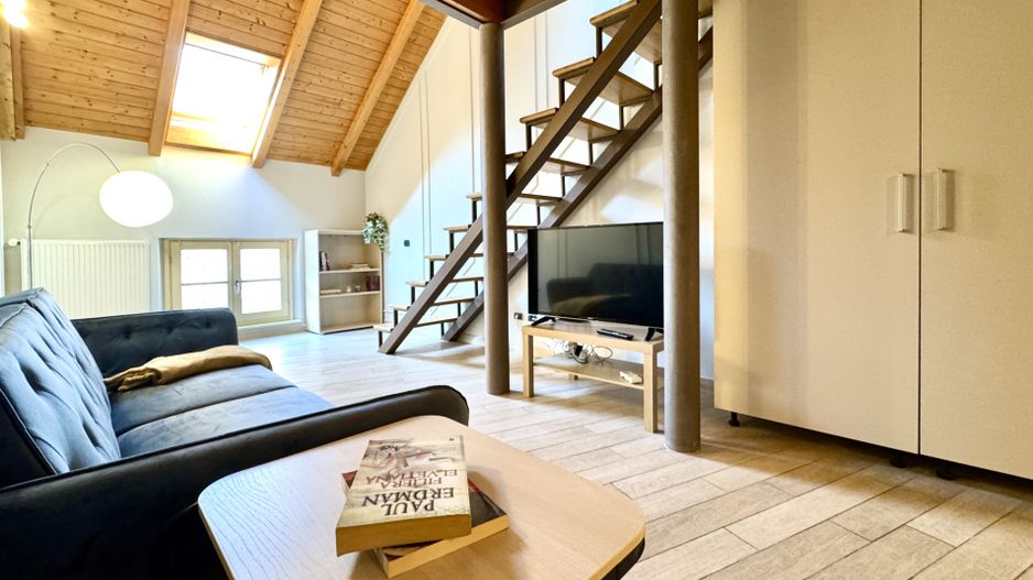 Apartament tip loft, 2 camere, Piața Unirii - Poză 13