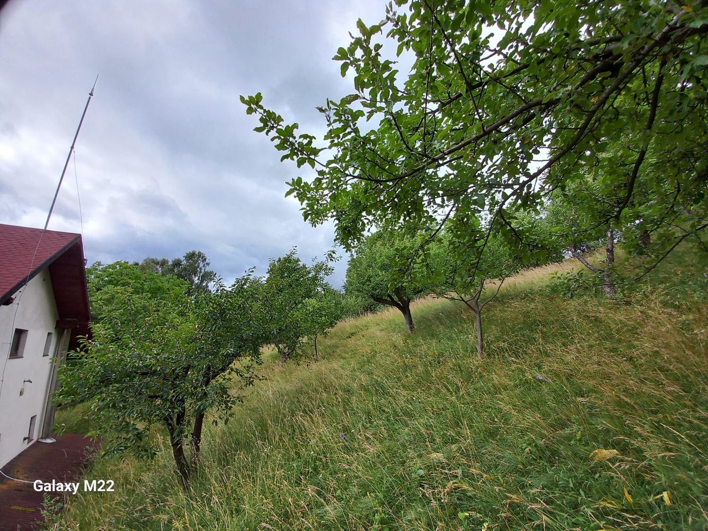 Bran, casa de vacanta + teren , Zona Club Vila Bran - Poză 10