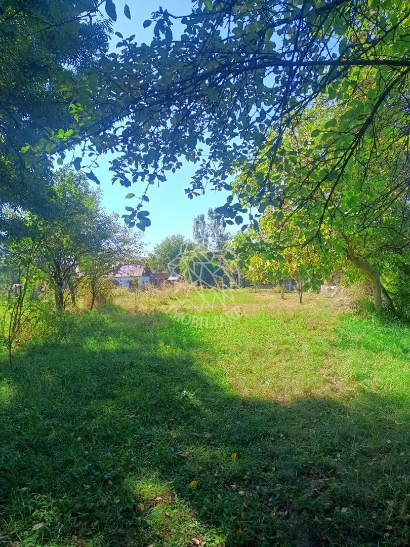 Casa la tara-teren 1521 mp+2 ha arabil-ideal casa Vacanta-Mintiu - Poză 6