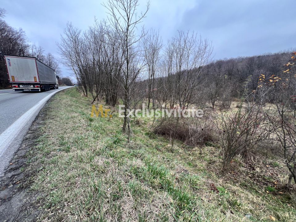 Teren intravilan 6.500 m²–Deschidere 144 ml drum european E81, km 35, Morăresti - Poză 2