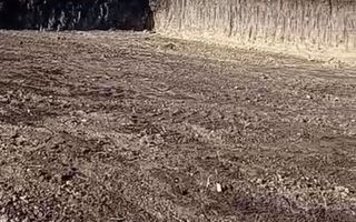 Teren 350 mp I Sura Mare I Certificat de Urbanism I Utilități - Poză 1