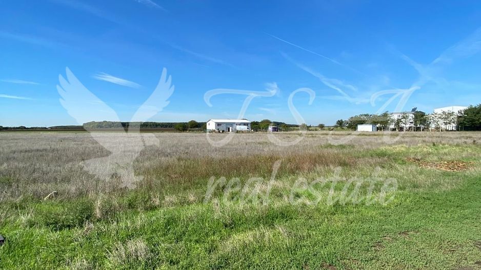 Teren Intravilan 825mp Cu dubla deschidere si Drum de servitute, Dascalu  Ilfov - Poză 8