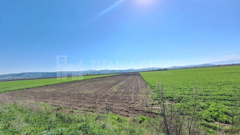 Teren extravilan, 8700 mp, pretabil agricultură sau investiție - Bod - Poză 6