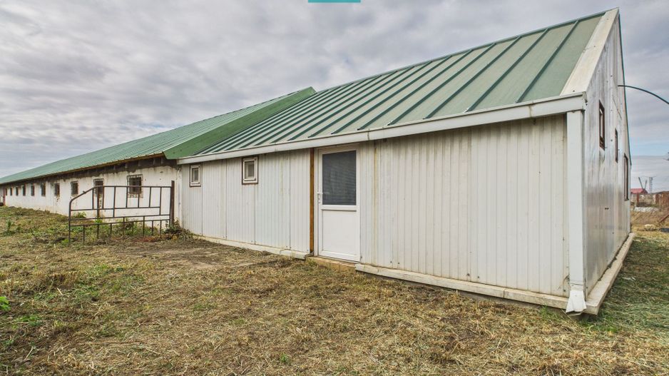 Hală pentru producție / fermă zootehnică  - Variaș - Poză 14