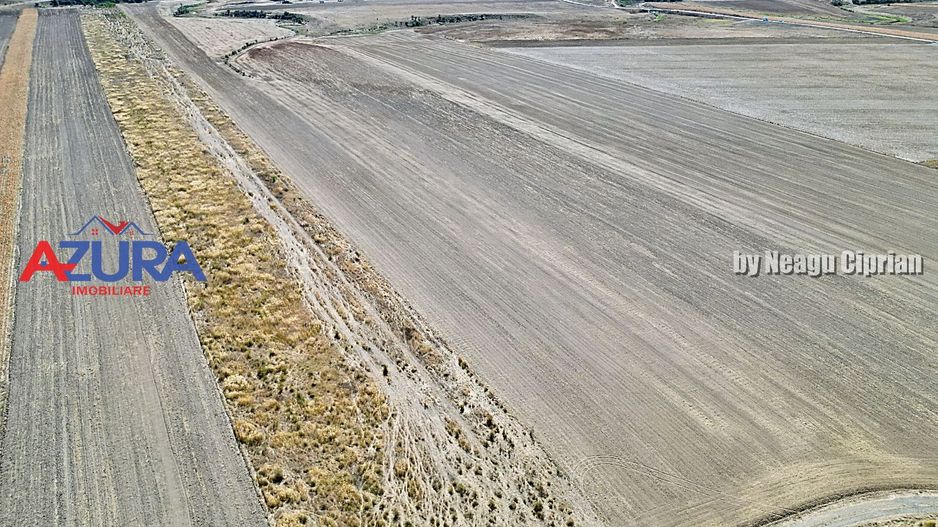 Teren agricol, 5HA, comasat, drum acces, Cateasca - Poză 9