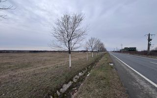 COMISION 0% Teren extravilan 1 ha | Recas - Poză 4