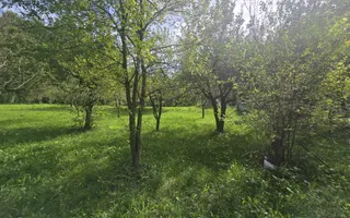 Oportunitate de investiție în Breaza – teren intravilan de 3.591 mp - Poză 16