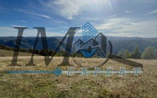 Teren extravilan la munte zona Loman! - Poză 3