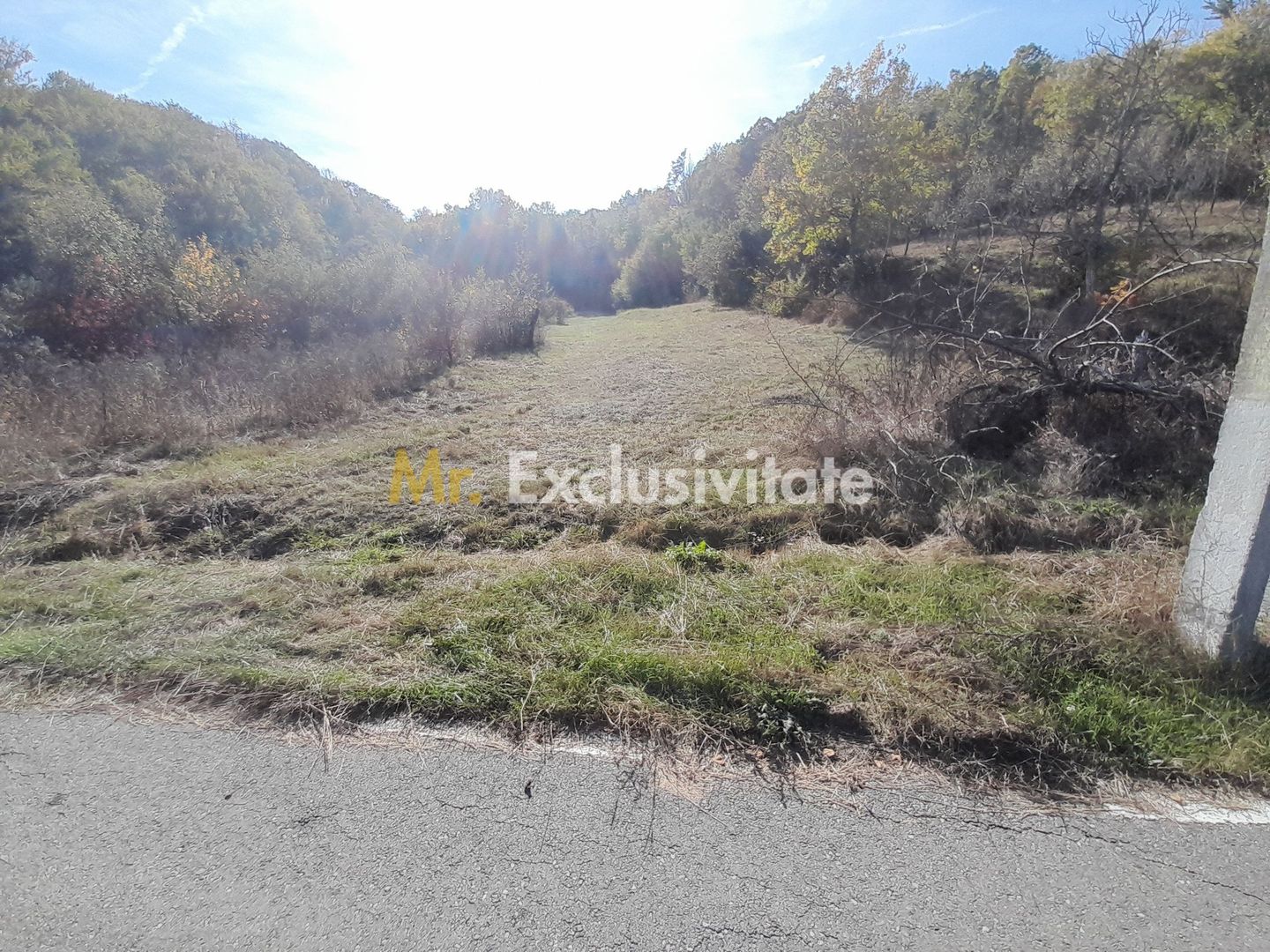 TEREN DE VANZARE IN BABANA, ARGES,  LANGA PADURE - Poză 4