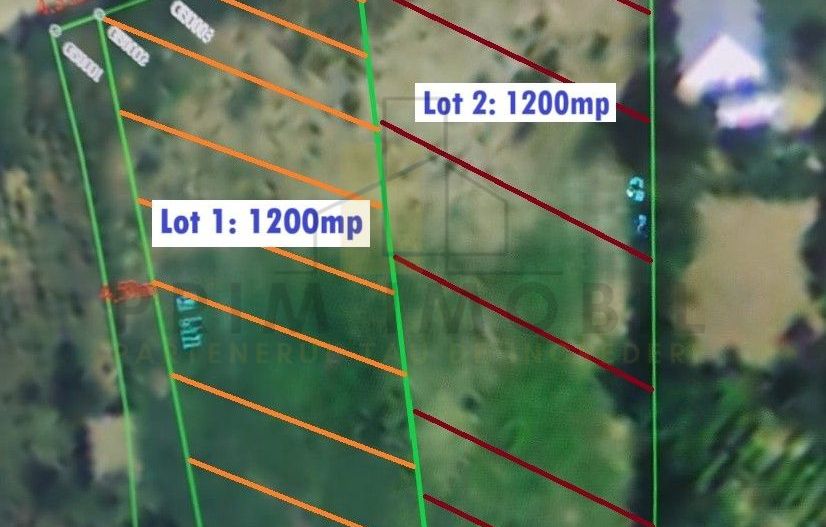 Teren in Goruni comuna Tomesti 12 km de rond Podu Ros - 1200 mp - Poză 1
