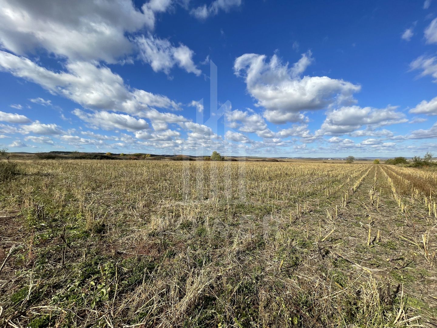 De vânzare teren intravilan – Cristian, Sibiu - Poză 6