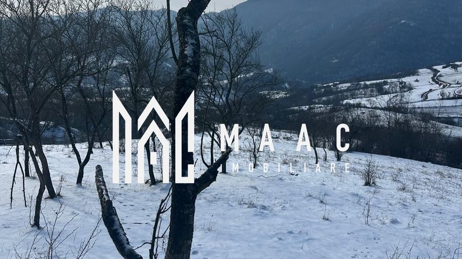 Teren de vânzare, 7750 mp I Orientare sudică I Caineni - Poză 3