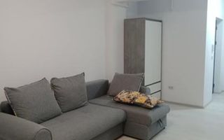 Apartament cu 1 Camera Valea Lupului - Poză 5