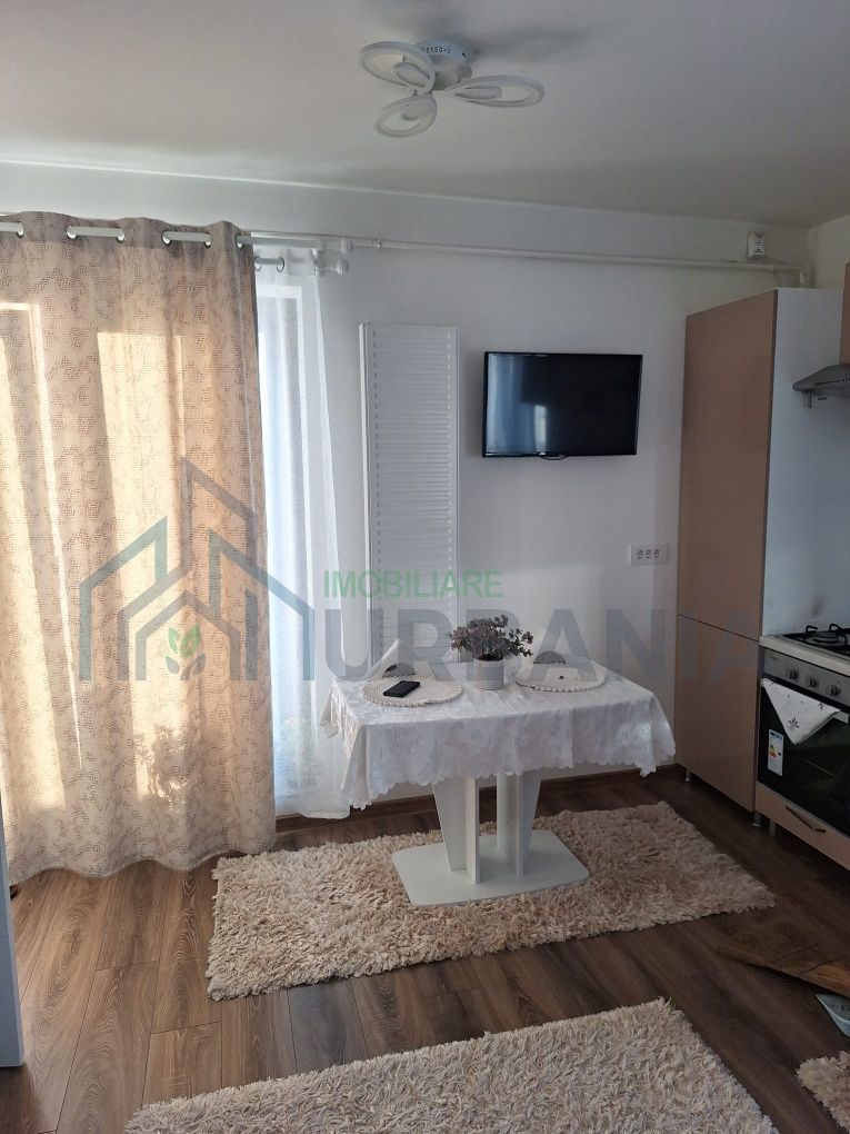 Apartament 2 camere, penthouse, de inchiriat – Zona Nicolina-CUG, Valea Adanca - Poză 4