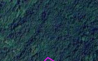 Teren pădure 64000 mp Pietroasa spre Boga - Poză 4